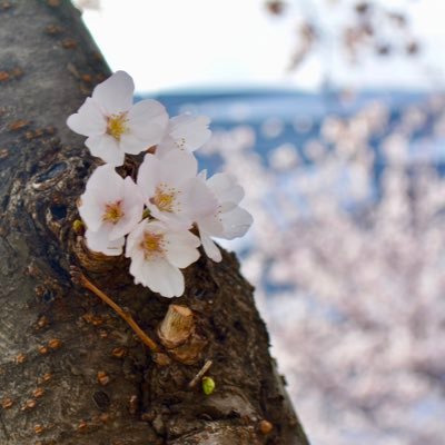 サッカー⚽️と水泳🏊‍♀️やってました/海外旅行が好きです💃🇮🇹家族とわいわいスポーツ観戦が幸せ✨✨