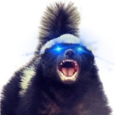 bitcoin_badger_ Profile Picture