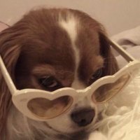 vale; ✨ (@someth1ngwrongs) 's Twitter Profile Photo