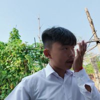 VongZong (@zongvong) 's Twitter Profile
