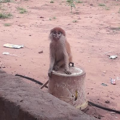 OmarCee57911307's profile picture. 