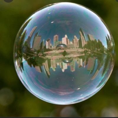 bubbles90884282's profile picture. 