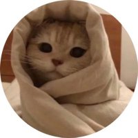 ْ (@md_shamrani) 's Twitter Profile