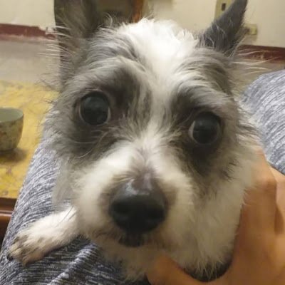 v8e0TJj9KmlQzfJ's profile picture. 