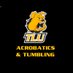 Texas Lutheran A&T (@TLUAcroTumb) Twitter profile photo