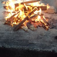 Radyoloji 💫 (@fenrbahc_1907) Twitter profile photo