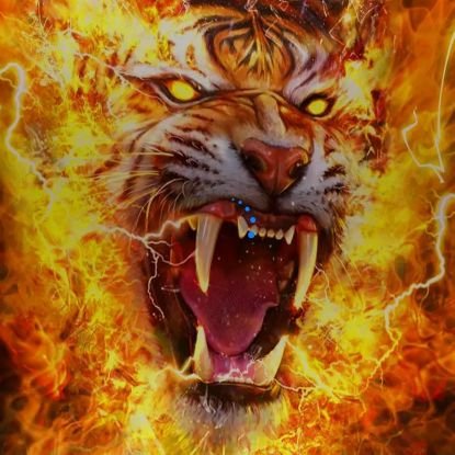 tayqrr1's profile picture. مۣۗـۙحۣۗـۙبۣۗـۙ لَلَجۣۗـۙمۣۗـۙيۣۗہعۣۗـۙ