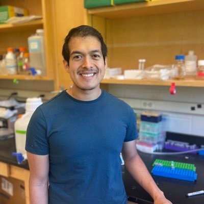 Studying host mitochondrial responses to infection at UCLA| Mitochondriac | DEI committed | Outdoor enthusiast | he/él | 🇲🇽⛰🚴🏼🏳️‍🌈