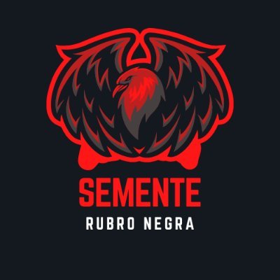 Social midia e influenciador digital Felipe Martins traz noticias sobre o C.R.Flamengo. 
Segue nas redes e no Kwai @sementern