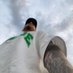 Nikita (@nikita80949790) Twitter profile photo Nikita (@nikita80949790) Twitter profile photo