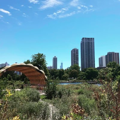 madgray96's profile picture. 