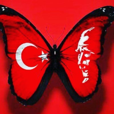 masumsevdam's profile picture. TC.