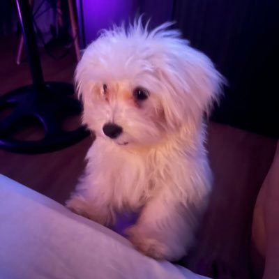 mrtllnkm's profile picture. 