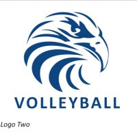 SCS Volleyball (@scseaglesvb) 's Twitter Profile