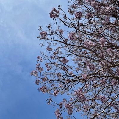 mervsimsek's profile picture. 