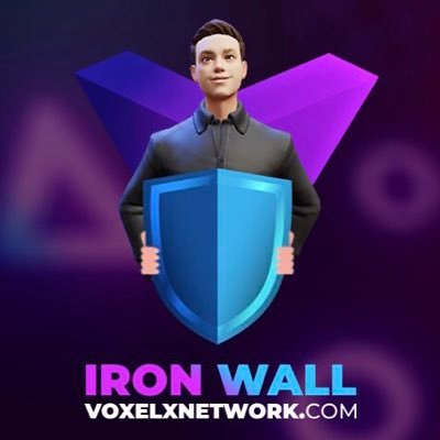 Voxel X Network - Chief Security Officer 🇵🇹