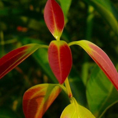 rink_kr's profile picture. 