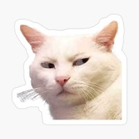 Susan Stewart (@s5stew5) 's Twitter Profile Photo Susan Stewart (@s5stew5) 's Twitter Profile Photo