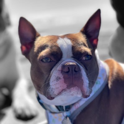 GingerArmyNW's profile picture. Northwest