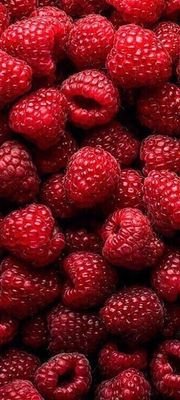 ellfoooooo's profile picture. 