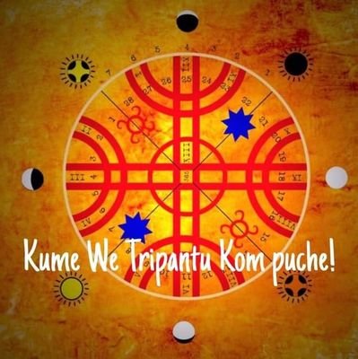 mazeganja's profile picture. A.C.A.B.  SOY CHILENO POR EL KAPITAL Y MAPUCHE DE SANGRE