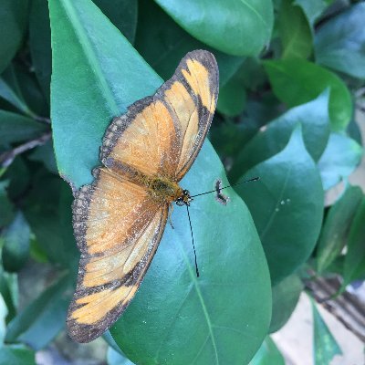 EKrohne's profile picture. 