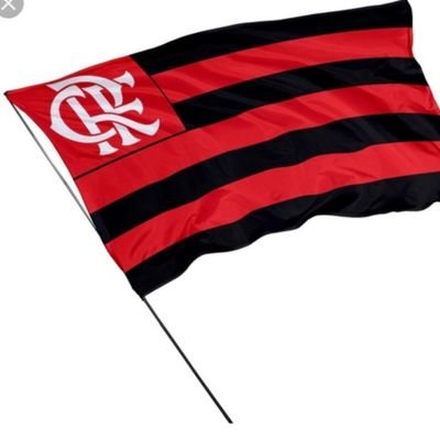 Perfil para acompanhar e opinar sobre Flamengo e assuntos do meu interesse.