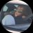 tooryn's profile image
