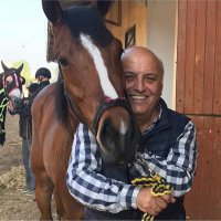 Bülent (@blent32487065) Twitter profile photo