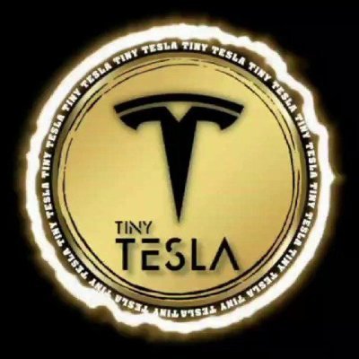 TinyTesla Profile