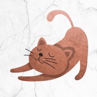 Miau Design (@miaudesignde) 's Twitter Profile