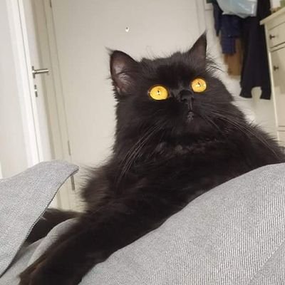 MiguelO82228108's profile picture. 