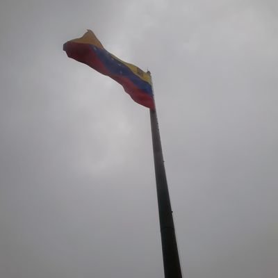 RalphMaboire's profile picture. Administrador - Coordinador Contable +58-412-3894941 rmaboire@gmail.com