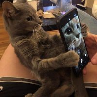 BJR 24 (@conflicts_111) 's Twitter Profile Photo BJR 24 (@conflicts_111) 's Twitter Profile Photo