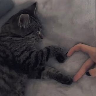 AuroreAuclair1's profile picture. 