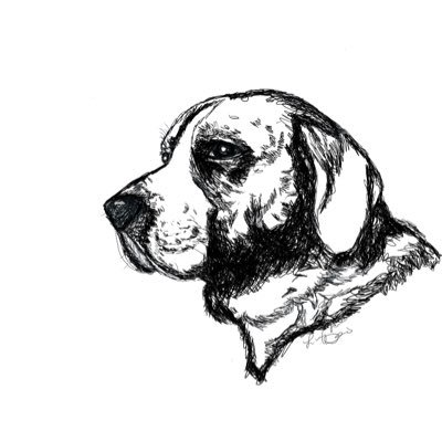 BishopJames47's profile picture. I write stuff for people more personable than myself.