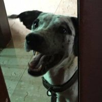 Maitri (@maitri_tito) 's Twitter Profile