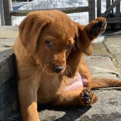 LnH58450117's profile picture. 