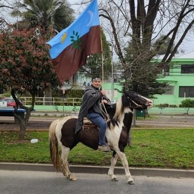 Vivo en el Sur de Chile 🐄 #Osorno, Gremialista🍊De la U,
 Ingeniero Industrial,
Luchador de la #Libertad 🌱  #Mapuche