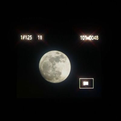 pppS2pppS2ppp's profile picture. :(