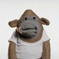 Monk ⓨ 🐒 (@monkkynft) 's Twitter Profile