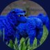 We the Sheeple (@w3thesheeple) Twitter profile photo