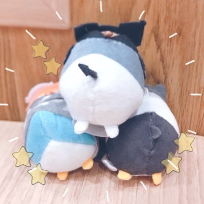 成人済。箱推しコンビ推し多め【ヒプ】ハマ(ステ🐰最推) 【twst】🐬🦈🏹2年生(友分ディアソ🌹)【hrak】爆豪轟【サンリオ】クロミバツ丸サム【呪術】棘乙骨釘崎(友分五条七海恵)【鬼滅】実弥妓夫太郎寄りですが作品が好きでキャラ推しあまりなし💰PayPay郵貯 ※中学生以下×
