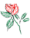 Amy Hilton - @NFLPhiladelphia - Twitter