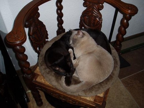 Sabb64's profile picture. 