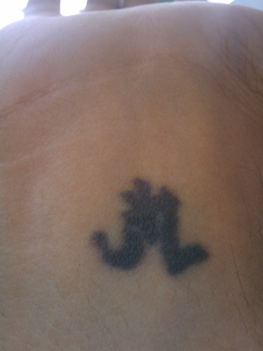 benjironda's profile picture. Vivo, vivo, vivo...