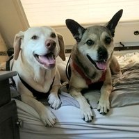 Alice Quinn (@alicequinnr) 's Twitter Profile Photo