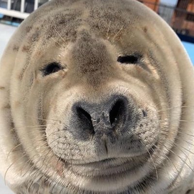 ScrumboTheThird's profile picture. I spread kindness a lot.