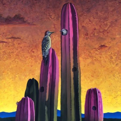 Alberto90360529's profile picture. 