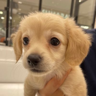 ohirunechuu1's profile picture. 26卒 残すは海運